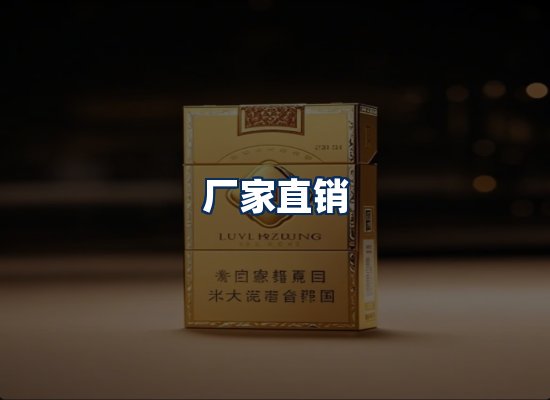 专业团队办公环境